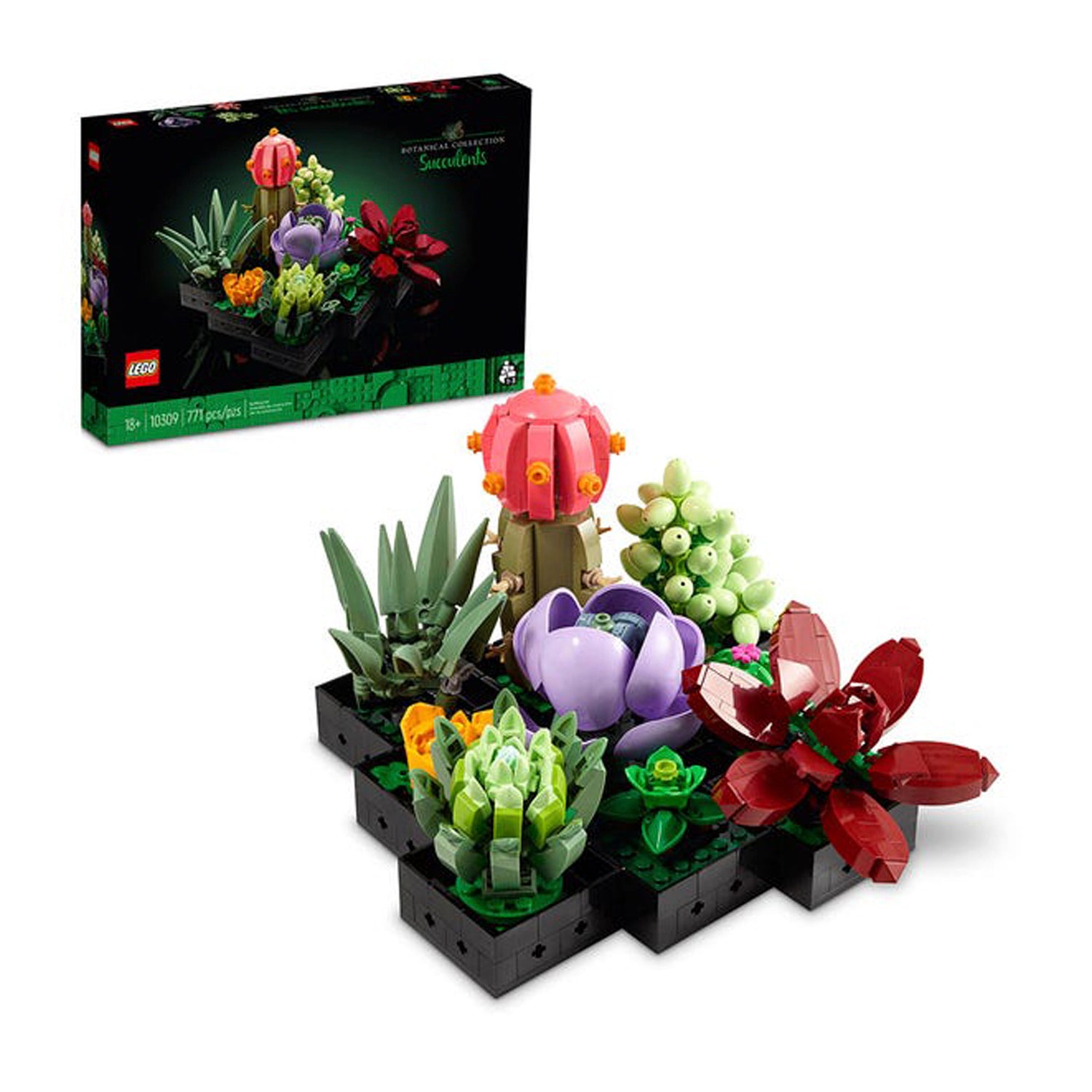 Lego Coleccion Botanica: Suculentas 10309 - Crazygames – Crazy Games en ...